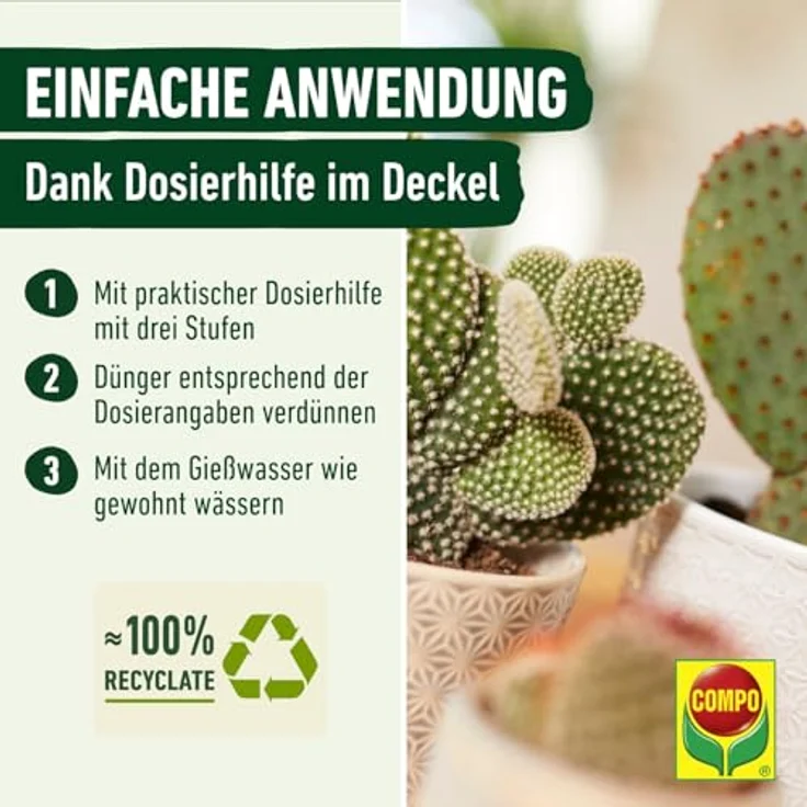 Compo Kakteendünger u. Bonsaidünger250 ml – Bild 5