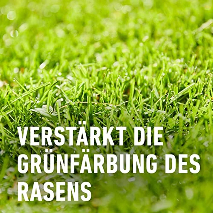 künstlicher adventskranz hochwertig Adventskranz 35 cm Nobilis und Eucalyptus mit rustikalen Kerzen in anthrazit
