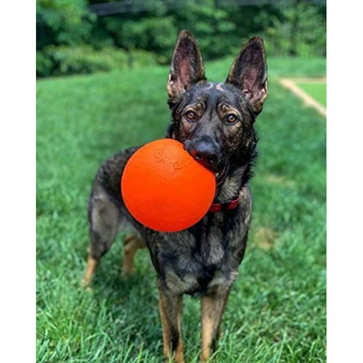 Jolly Pets Ball Bounce-n Play 15cm Orange (Vanilla Smell) - (JOLL068G), Hundespielzeug – Bild 2
