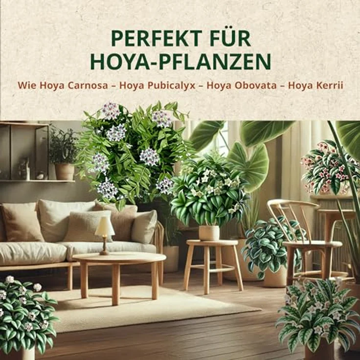 OraGarden Hoya Erde Spezialerde für Kübelpflanzen Zimmerpflanzen zur Umpflanzung (3L) – Bild 5