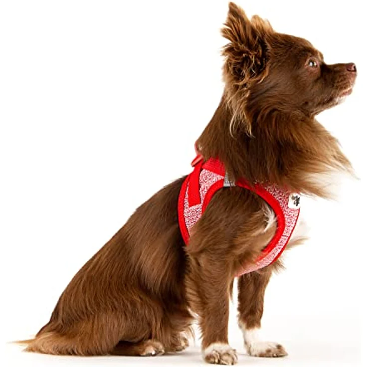 Vest Harness Merino curli Clasp Red 3XS – Bild 4