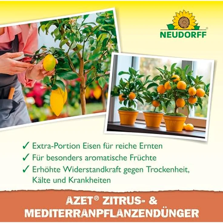 Neudorff Azet Zitrusdünger, Flüssigdünger 1L für Zitruspflanzen mit Extra Eisen, 100% natürlich und vegan – Bild 4