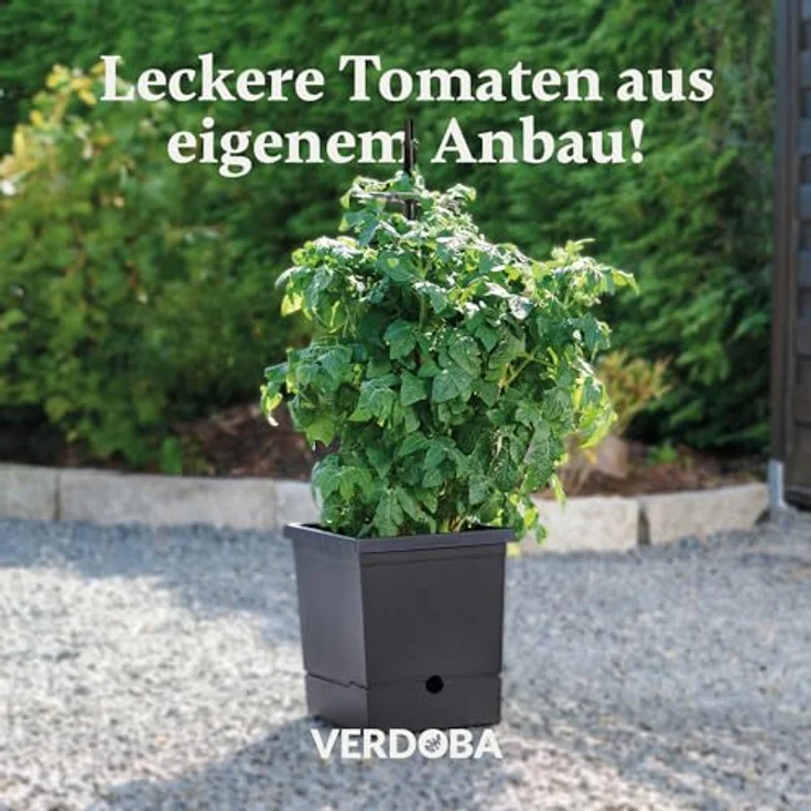VERDOBA Tomatentopf mit Rankhilfe, 3,5L Wasserspeicher für Selbstbewässerung, schwarzer Tomatenturm aus recyceltem Material, ideal für Tomatenanzucht – Bild 2