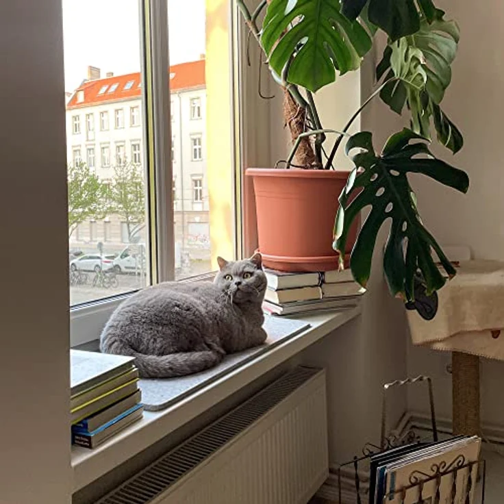 LucyBalu® Fensterbrettauflage für Katzen aus Wollfilz | Liegematte Fensterbank Katze | Katzenkissen | Fensterliegeplatz Katzen | Katzenbett Fensterbank | Fensterliege als Katzenfensterbett | Hellgrau – Bild 3