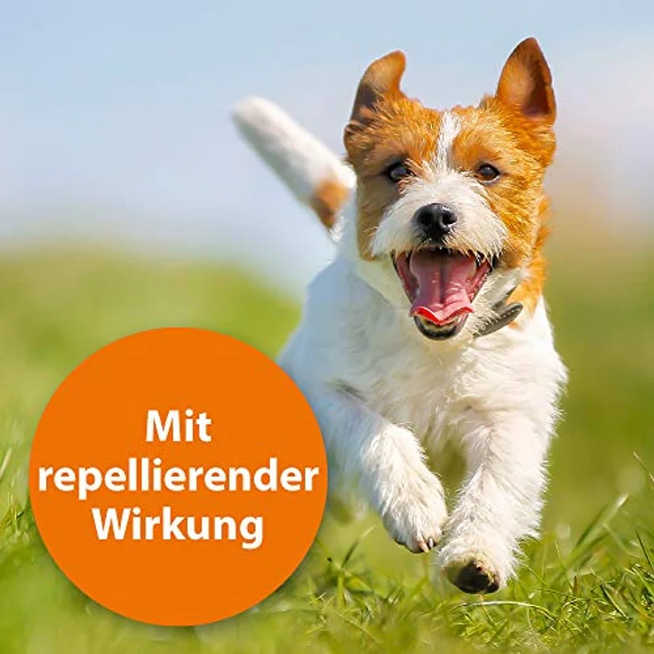 Ardap Zecken- und Flohschutzpuder für Tiere, 150 g - Hochwirksam mit Pyrethrum und Lavendelöl, sofortiger Schutz – Bild 2