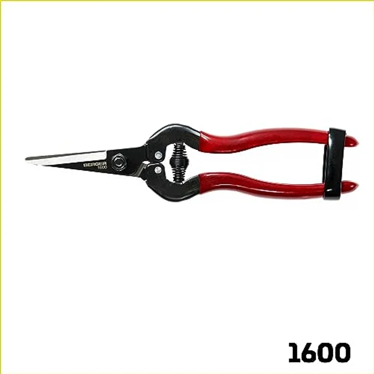 Berger Traubenschere 1600 aus Qualitätsstahl für Weinreben und Obst mittelgroß – Bild 3