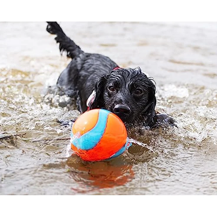 Chuckit! Amphibious Mega Ball Schwimmender Hundeball Hohe Sichtbarkeit Wasser Apportieren Spielzeug für Hunde – Bild 5