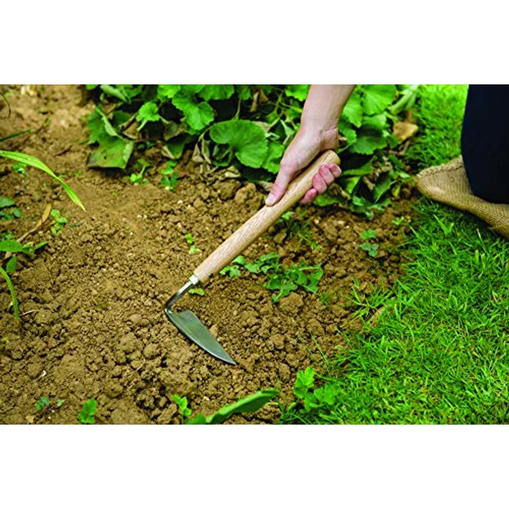 Kent & Stowe Schneidehacke – Gartenhacke aus Edelstahl, entfernt Unkraut und Moos, Unkrautjäter mit Stiel aus Eschenholz, Länge: 32 cm – Bild 4