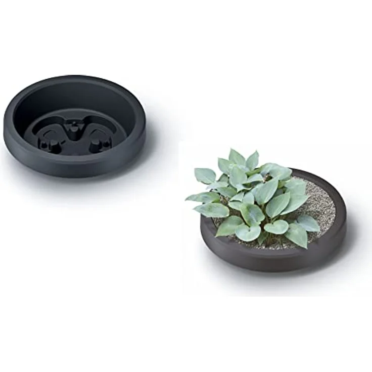 Spetebo Design Regentonne 240 L mit Wasserhahn - anthrazit - Regentank mit Pflanzschale als Deckel - Kunststoff Wasser Tonne Regen Tank Blumen Pflanzen Kübel wetterfest frostsicher – Bild 4