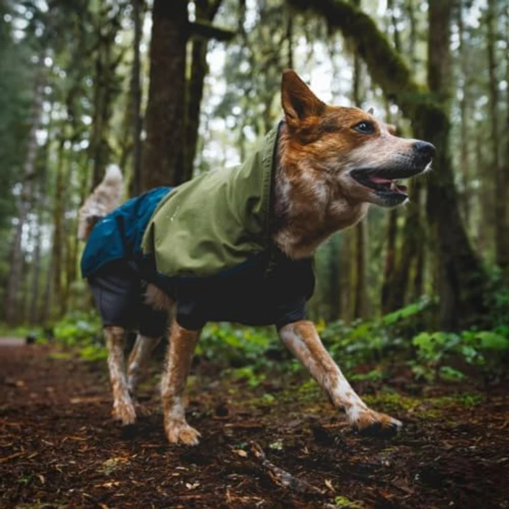 RUFFWEAR Sun Shower Overall Midnight Blue XXS, wasser- und winddicht mit reflektierenden Akzenten – Bild 4
