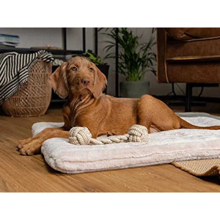 TrendPet Harmony 4cm gefütterte Hundedecke, Katzendecke, Liegedecke für Hunde und Katzen (Creme, 50x35cm) – Bild 2
