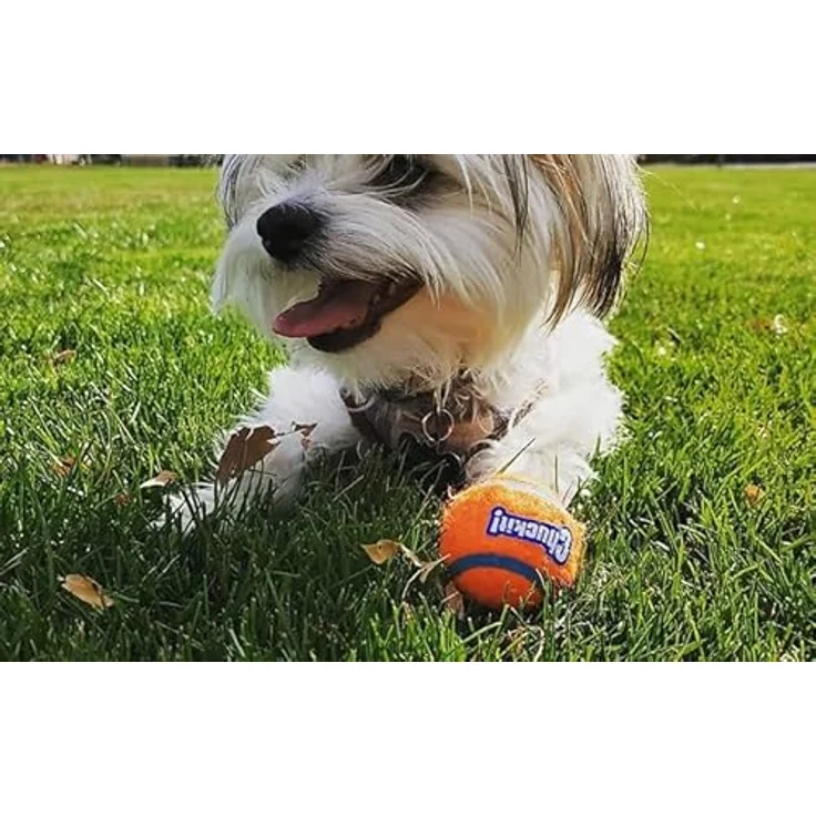 Chuckit 07101 Tennis ball Small, 2 Hundebälle kompatibel mit ballwerfer, S – Bild 5