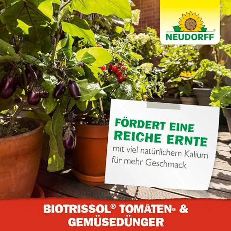 Neudorff Azet Tomaten- & GemüseDünger flüssig, 1 l, NPK 3-3-3 für aromatische Früchte und kräftige Wurzeln – Bild 7