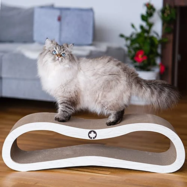 CanadianCat Company | Kratzbrett Orbit | hellgrau Holzoptik | Kratzmöbel, Lounge für Katzen | Kratzpappe + Katzenminze | ca. 84 x 24 x 23cm – Bild 2