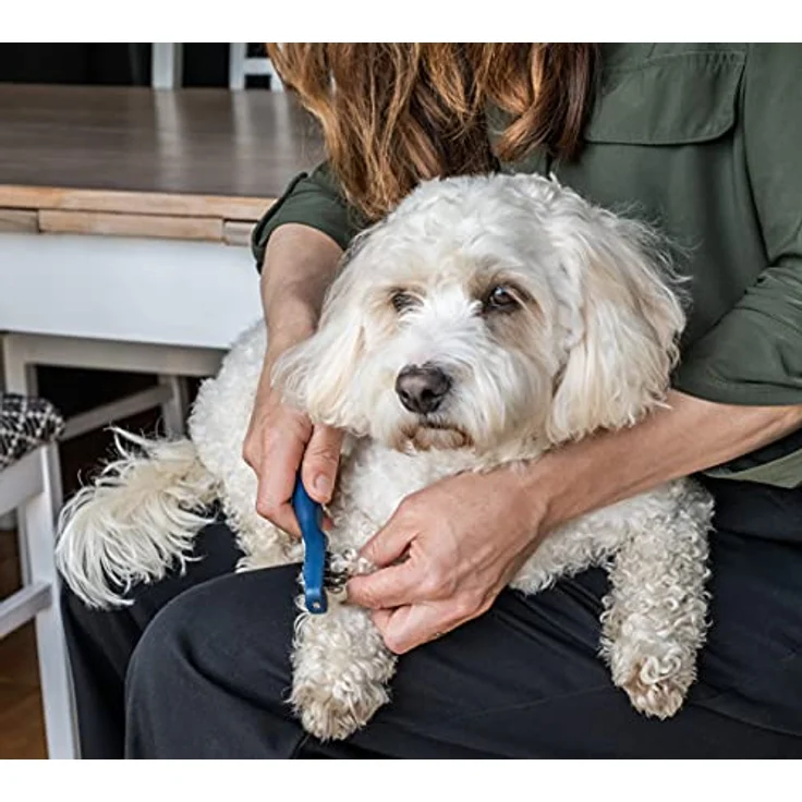 Mikki Edelstahl-Fellpflegebürste für Hunde und Welpen, Entfilzer, Fellwechsel-Kamm, für Pudel-Kreuzungen wie Cockapoos, Labradoodles, Cavapoos, Maltipoos und Golden Doodles – Bild 3