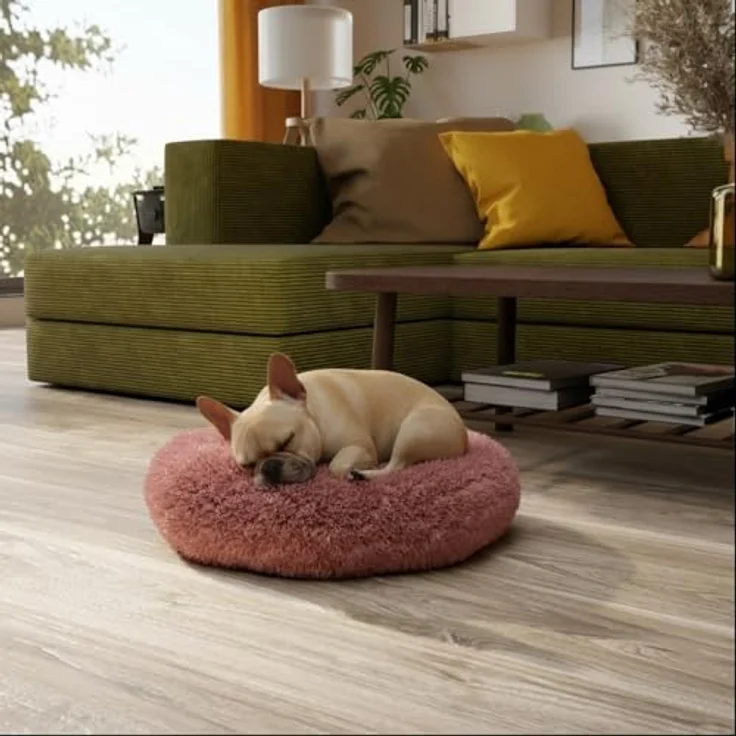 BENNO Hundebett BALU Donutform, 50x50x16 cm, weiches Kuschelbett mit Polypropylen-Füllung, rosé, waschbar, rutschfester Boden, inkl. Kauknochen – Bild 2