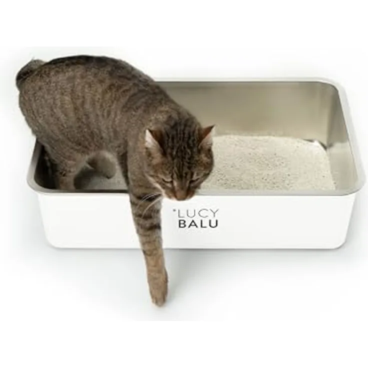 LucyBalu® Edelstahl Katzenklo geruchsfrei | große Katzentoilette aus Edelstahl | offenes Katzenklo für den Einstieg von Oben | hop-in Katzen Klo ohne Deckel | Katzen WC | Edelstahl Wanne | Weiß