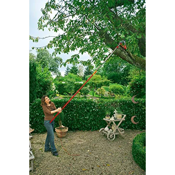 WOLF-Garten - Profi-Baumschere 2-schneidig multi-star RR-VM NEU2018, Rot, 37x23x7 cm, 71ACA006650 – Bild 2