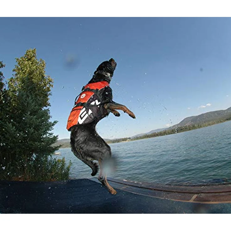 EzyDog Rettungsweste, Hundeschwimmweste mit verstellbaren Trägern und Ultra-Buoyancy-Schaumgummi, Größen 27-40 – Bild 5