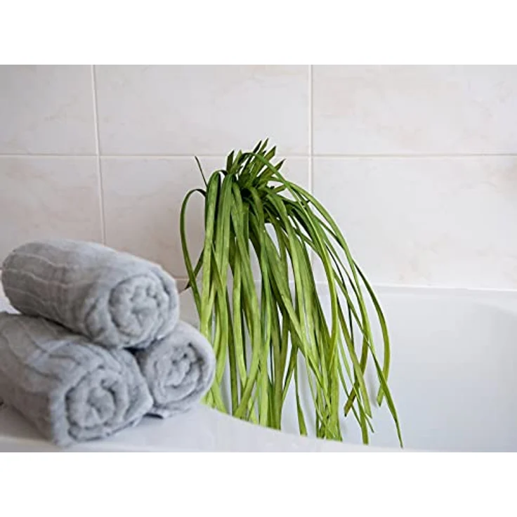 EUROPALMS Seegras (Eva), künstlich, grün | Seegrasbusch – Bild 3