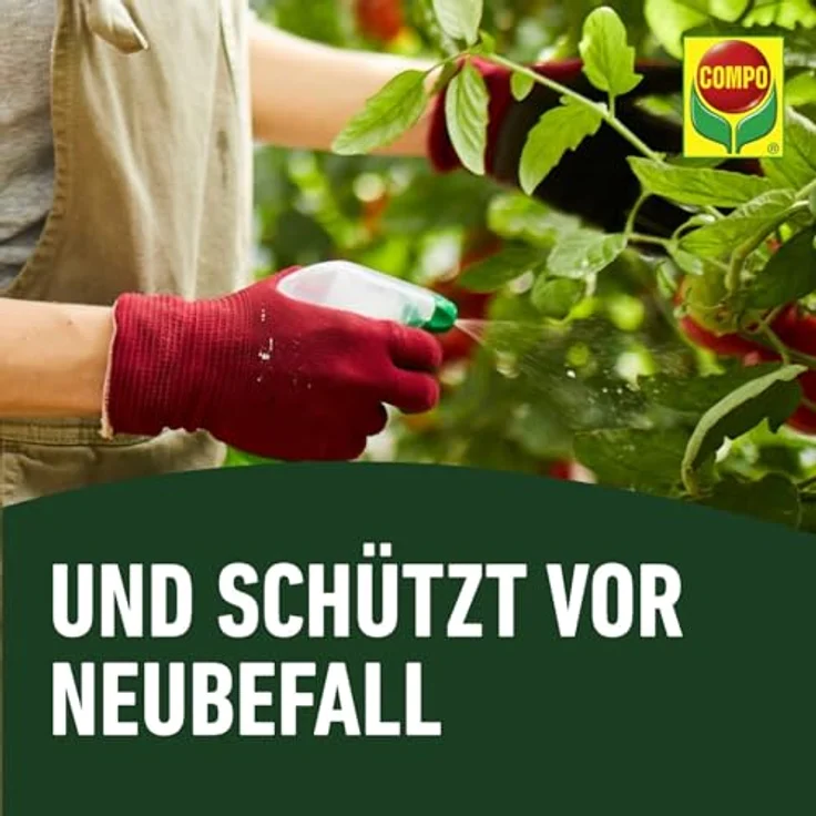 Compo Duaxo Universal Pilz-frei AF, 2.5 L, Anwendungsfertiges Fungizid-Spray gegen Pilzkrankheiten an Zierpflanzen, Gemüse und Kräutern – Bild 8
