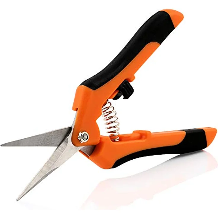 Zelsius 2er Set Ernteschere | Gerade, Spitze Klinge | Orange/Schwarz | Gartenschere Rosenschere Pflanzenschere Leseschere Grow Schere – Bild 2