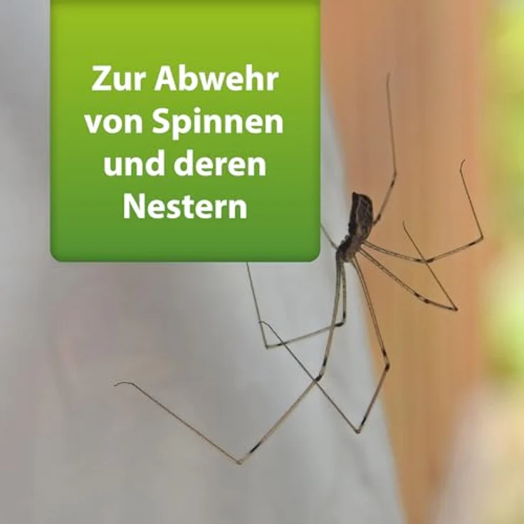 ARDAP Repell Spinnenspray 400ml - Spinnenabwehr - Anti Spinnenspray - Spray gegen Spinnen - Mittel gegen Spinnen - Wirkt schnell & effektiv – Bild 3
