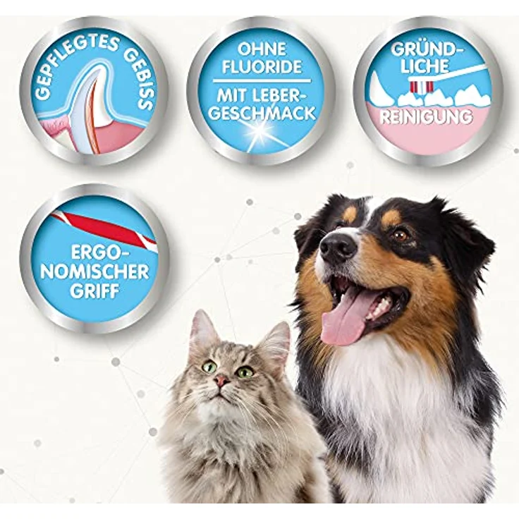 BEAPHAR - Zahnpflege Set Für Hunde Und Katzen - Doppelkopfzahnbürste Und Zahnpasta - Bekämpft Plaque Und Zahnstein - Mit Leber-Geschmack - Ohne Fluoride - Set mit 1 Zahnbürste + 100 g Zahnpasta – Bild 3