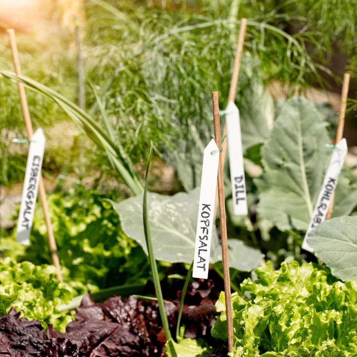 Windhager Bindeetiketten, 25 Stück – Bild 3