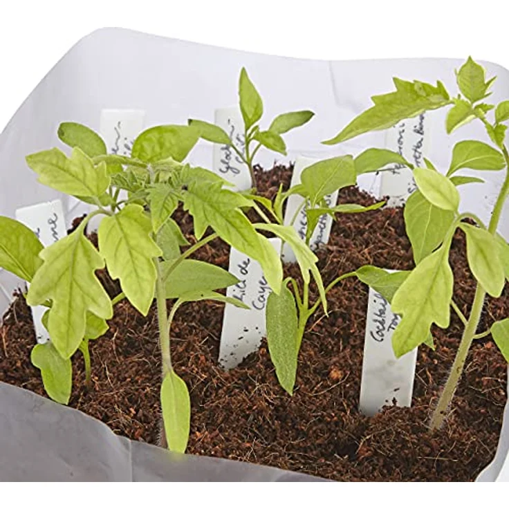 OwnGrown Kokos Anzuchterde 10L, torffreie Premium Blumenerde mit Nährstoffen für Zimmer- und Balkonpflanzen – Bild 4