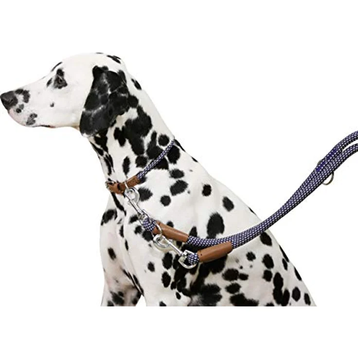 Kerbl Pet Maxi-Pet 80215 Halsband Phoenix, modisch und stabil aus Polypropylen-Nylon, blau – Bild 4