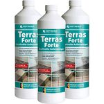 HOTREGA Terras Forte kraftvoller Außenreiniger Konzentrat 1 l - Kraftreiniger, Steinreiniger, Hofreiniger, Terrassenreiniger, Natursteinreiniger, Mengen:3