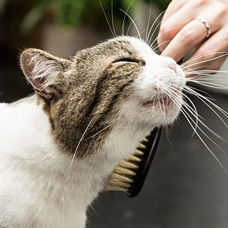 LucyBalu® Katzenbürste Kurzhaar & Langhaar | Fellbürste für Katzen| Katzenkamm zur Fellpflege von Katzen | Tierhaarbürste für Katzen | Katzenhaarbürste mit Agavenfaserborsten & Holzgriff Vegan schwarz – Bild 4
