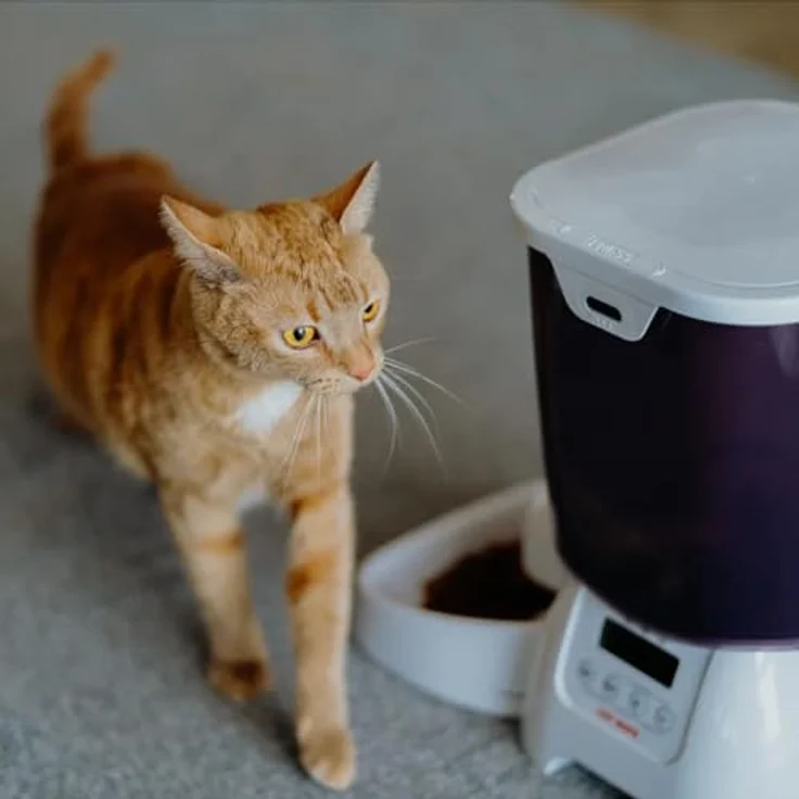 Cat Mate C3000 (3 l), Futternapf – Bild 6
