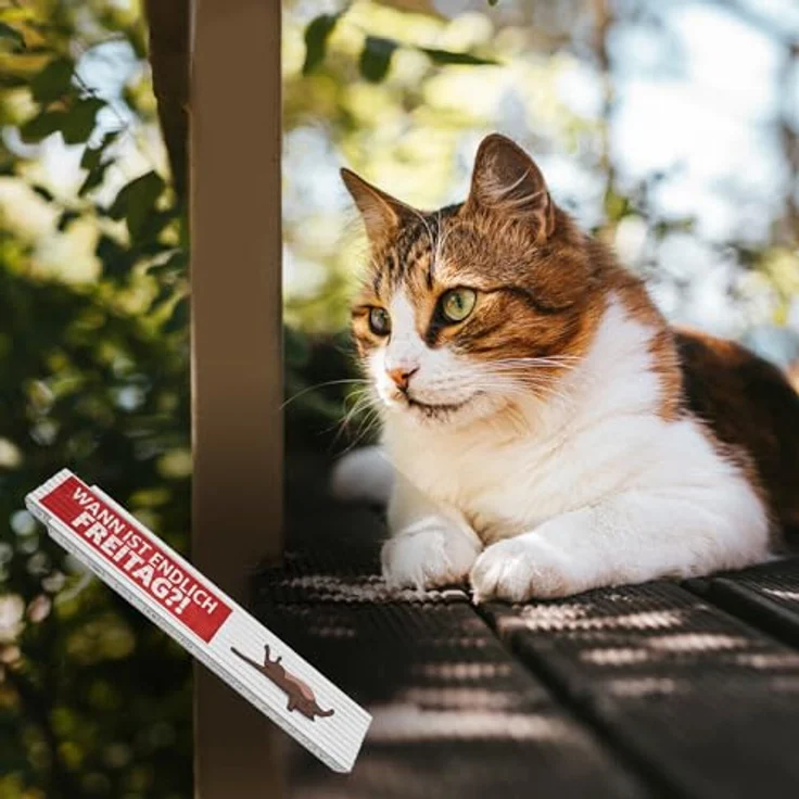 speecheese Wann ist endlich Freitag Meterstab aus Holz mit lustiger Katze, 24x3,5 cm, 10 Gelenke – Bild 4