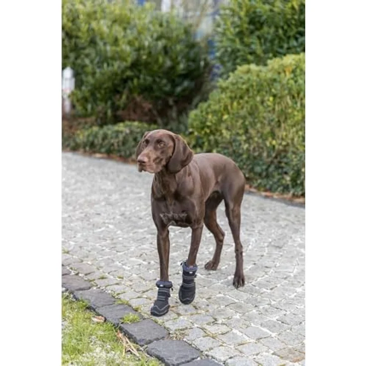 Trixie Walker Active Long, Hundeschuhe in Größe S, schützende Beinschutzboots mit rutschfester PVC-Sohle, schwarz, 2er Set – Bild 4