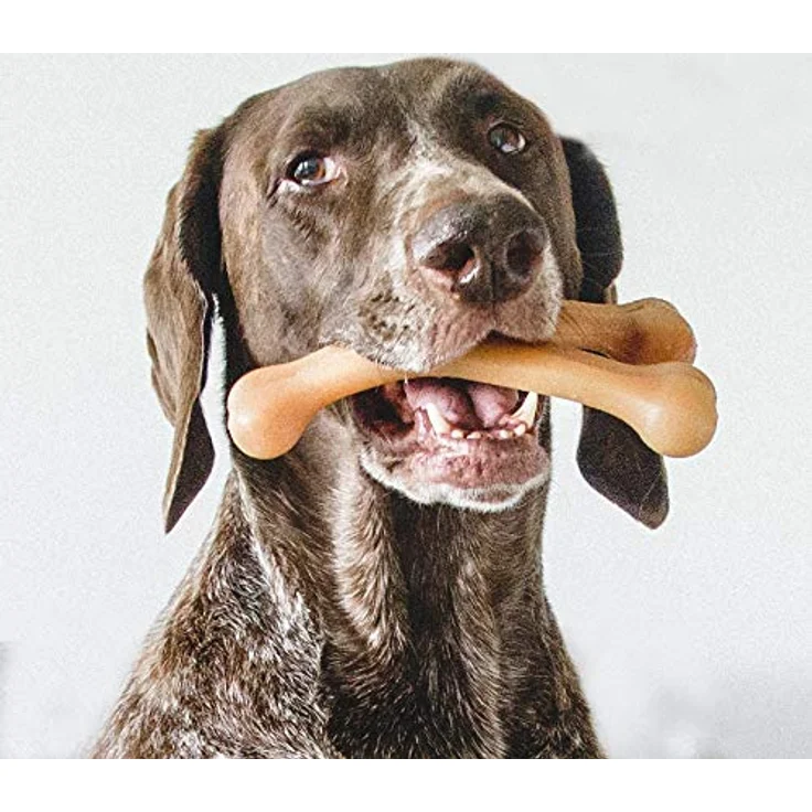 Benebone Wishbone Hundekauspielzeug für Aggressive Kauer, echtes Huhn, groß – Bild 5