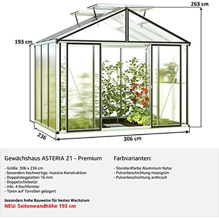 GFP Gewächshaus Asteria 21 Premium 311x235 cm mit integriertem Fundament 16 mm Doppelstegplatten, Farbe Moosgrün - Made in Austria – Bild 3