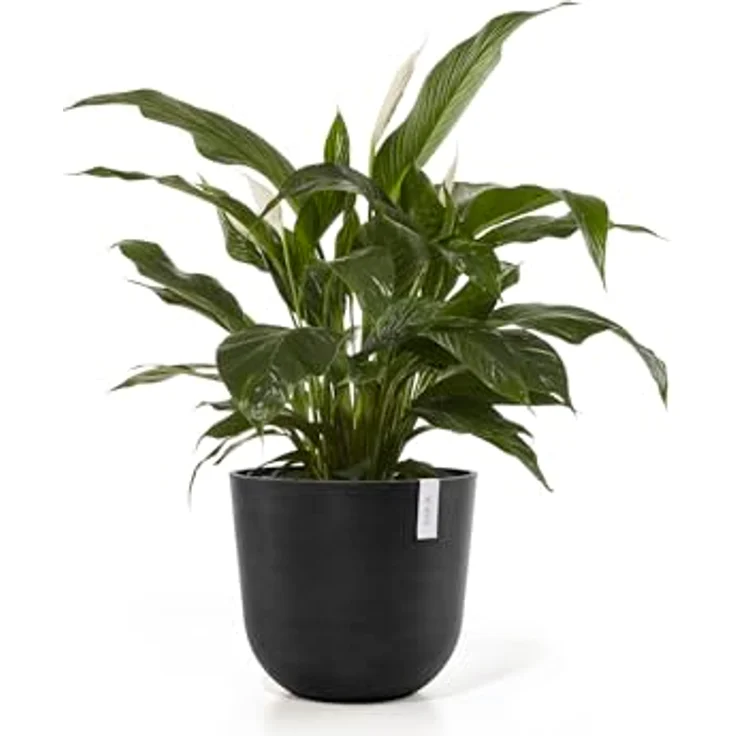 Ecopots Decolines 45 cm Ø Schwarze Kunststoff-Blumentöpfe | Wetterfeste Blumentöpfe für den Außenbereich, geeignet als Balkon- und Terrassentöpfe | Aus recyceltem Kunststoff, designed für 10 Jahre Nutzung – Bild 3