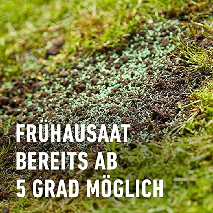 COMPO SAAT Nachsaat-Rasen, 2 kg Eimer für 100 qm – Bild 6
