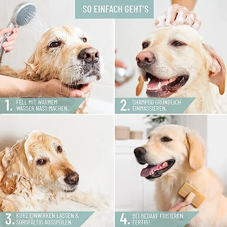 ReaVET Hundeshampoo gegen Schuppen & Juckreiz 250ml, bei Hautirritationen, trockene Sensible Haut, Rückfettend für Fellglanz ohne Duftstoffe, Anti Schuppen Juckreiz Shampoo Hund – Bild 2