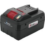 PARKSIDE® PERFORMANCE® 20 V Smart Akku »PAPS 208 A1« 8 Ah Lithium-Ionen mit Bluetooth® und 21700er-Zellen, schwarz
