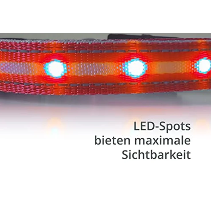 Leuchthalsband für Hunde [Das Original] Leuchtendes LED Hundehalsband zum spazieren gehen auch im Dunkeln- sehr Lange Akkulaufzeit – Sicher Dank hochwertigem Metallverschluss (Rot, L) – Bild 2