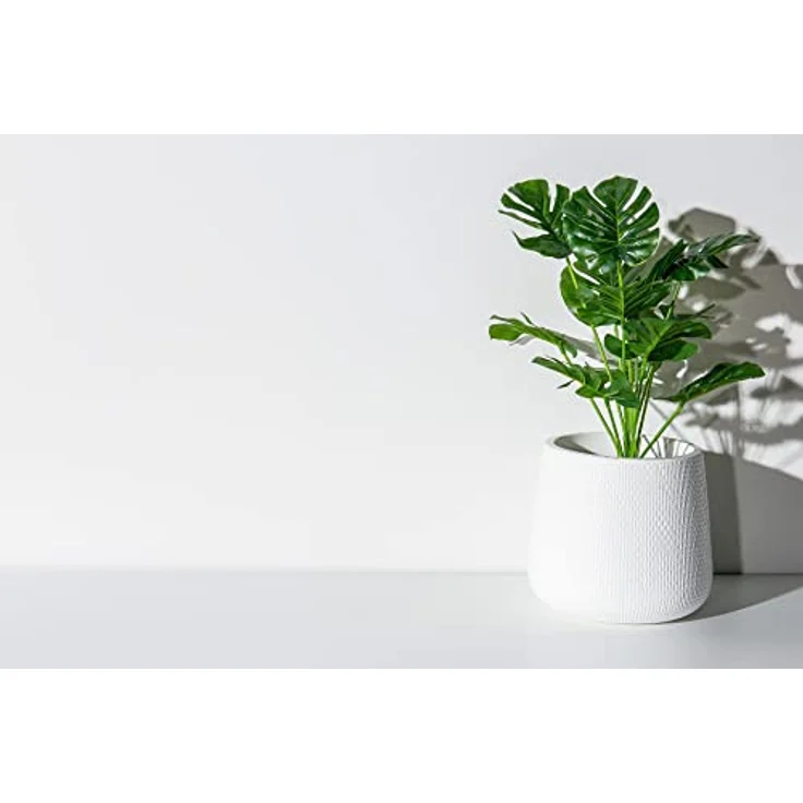 Garten Lux Premium Monstera Erde – 2L- 4-Komponenten – Erde für Fleischfressende Pflanzen- entwässernde Erde für die Aufzucht und Umpflanzung – Bild 5