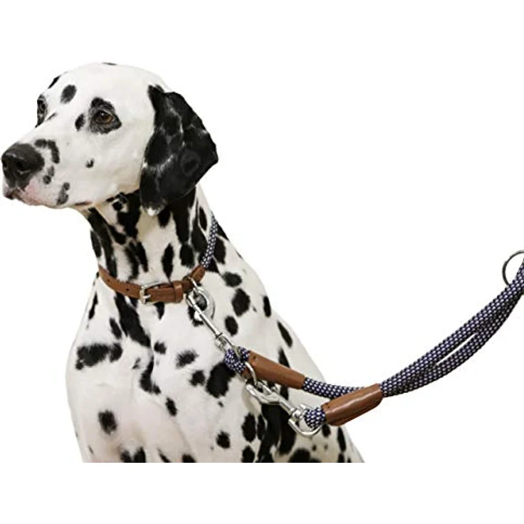 Kerbl Pet Maxi-Pet 80215 Halsband Phoenix, modisch und stabil aus Polypropylen-Nylon, blau – Bild 3