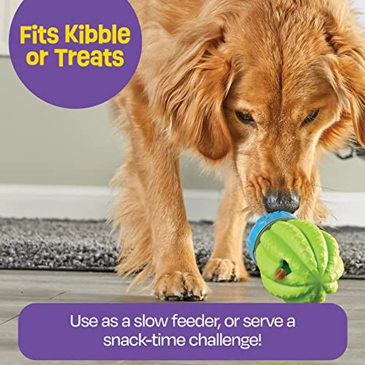 Brightkins Cactus Surprise Treat Dispenser (Beschäftigungsspielzeug), Hundespielzeug – Bild 6
