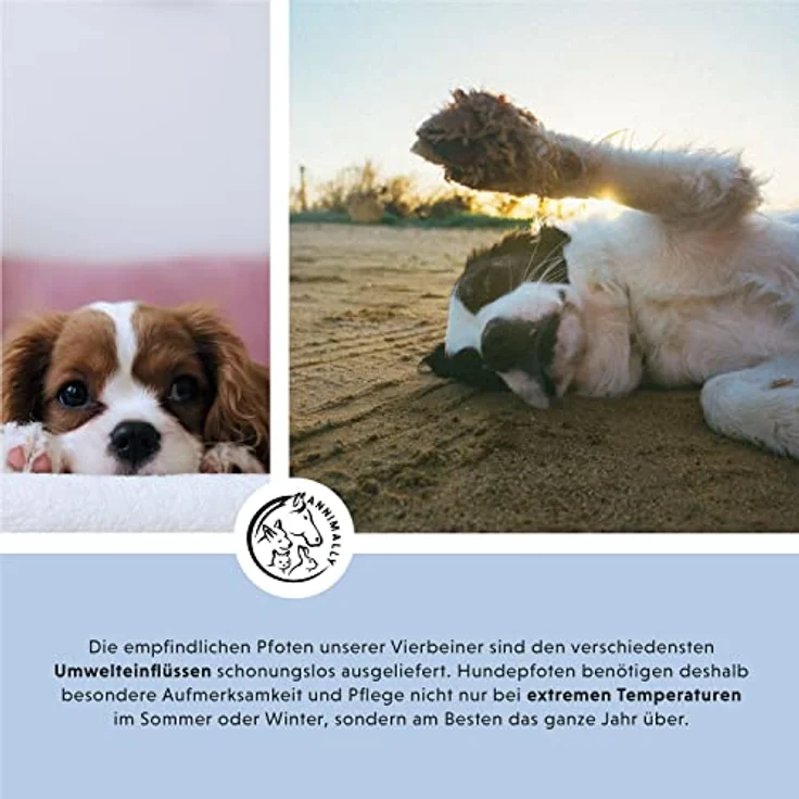 Annimally Hunde Pfotenbalsam 50g - Ideale Pfotenpflege für Hundepfoten mit Bienenwachs, Sheabutter & Ringelblumenöl - Ideal für die Wundheilung und den Pfotenschutz beim Hund – Bild 2