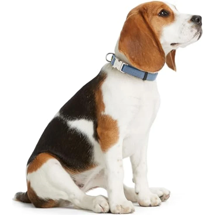 HUNTER Vario-Basic Halsband Aluminium Strong, Größe:M, Farbe:Rauchblau - Strapazierfähiges Hundehalsband für aktive Hunde – Bild 3