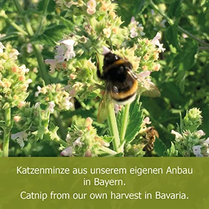 JR Cat Bavarian Catnip Katzenminze Nature-Ball – Bild 4