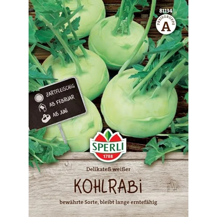 Sperli Kohlrabi Delikatess weißer – Bild 2